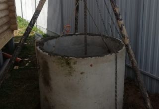 Cептик 2 кольца